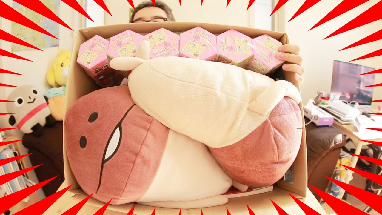 【謎の箱】ダンボールいっぱい！大量のなめこが送られてきた！！！