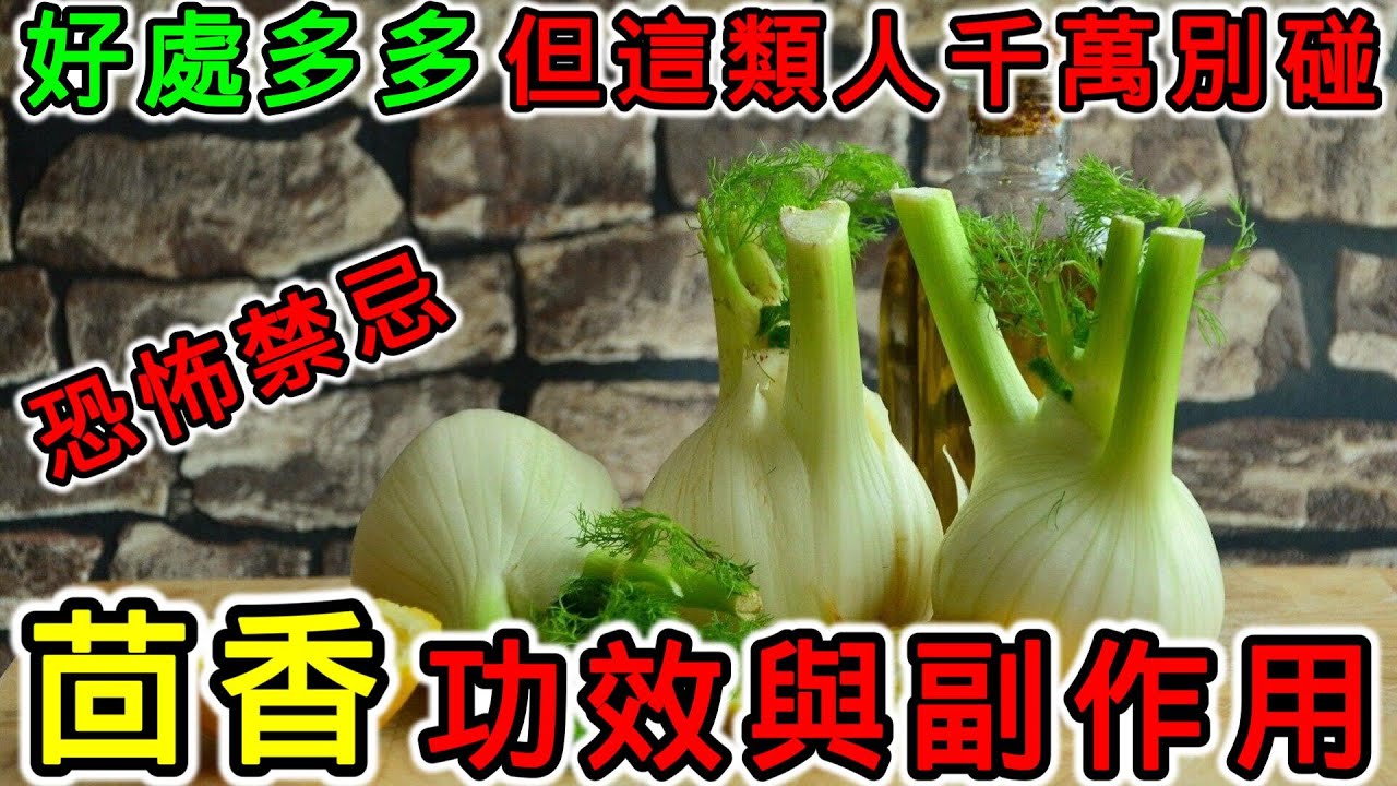 茴香的營養價值，茴香的功效，茴香的副作用，小茴香可以生吃嗎？茴香不能和哪些食物一起吃？哪些人不適合吃茴香？