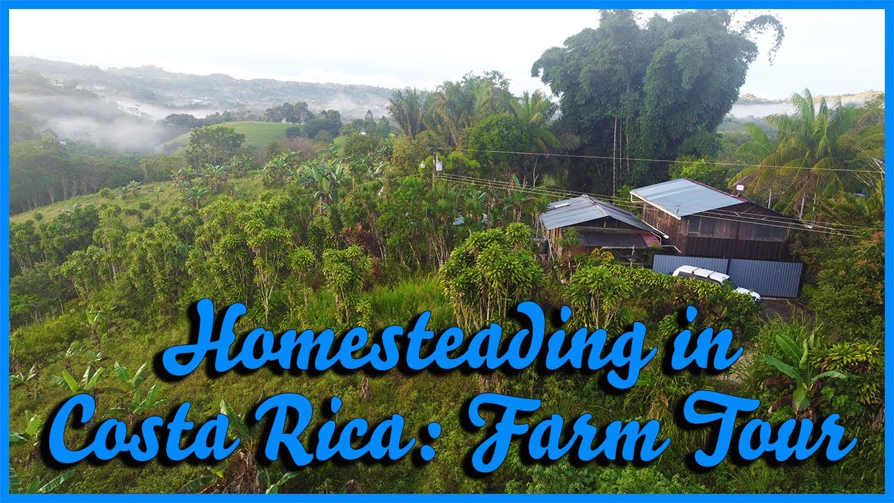 Costa Rican Farm Tour