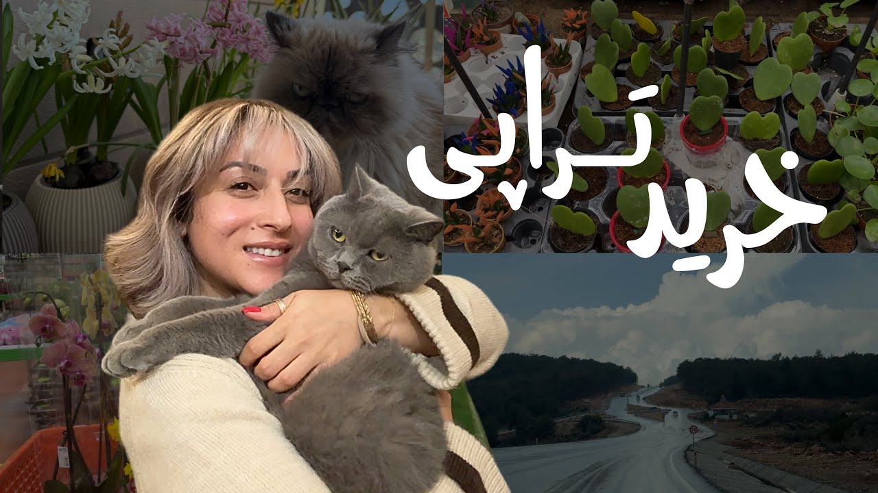 جنگ تمیزکاری | خرید تراپی | فری استایل البوم جدید🤫