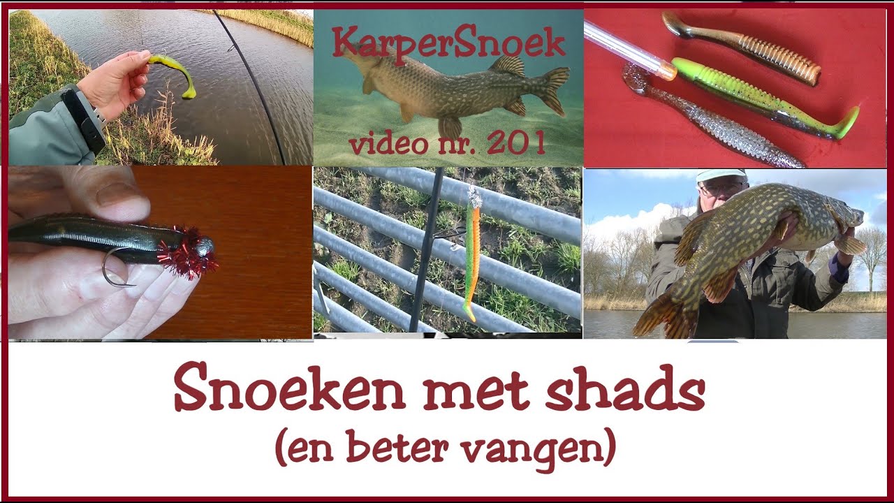 TIPS voor het SNOEKEN met SHADS | 2020 experimenteren