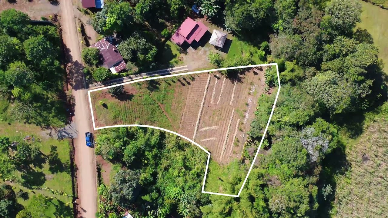 Lote plano en venta en Las Mercedes de Cajón, Pérez Zeledón – 3.121 m² con río