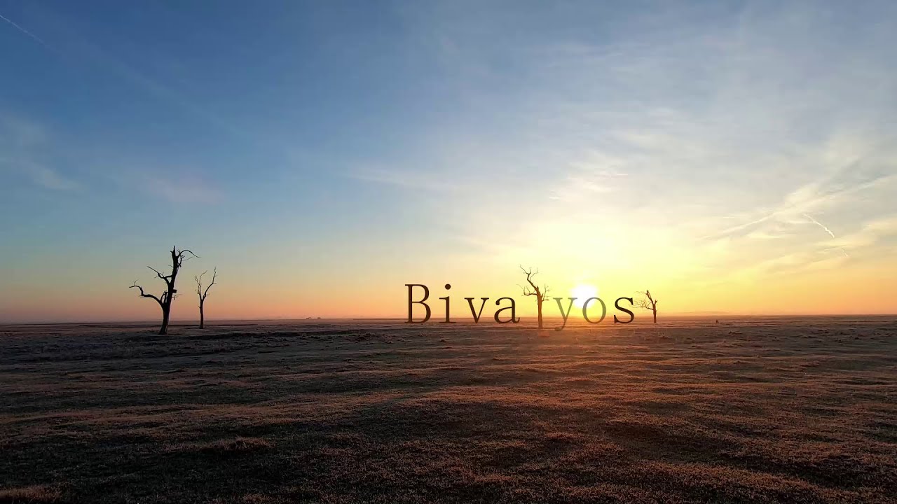 Bivalyos