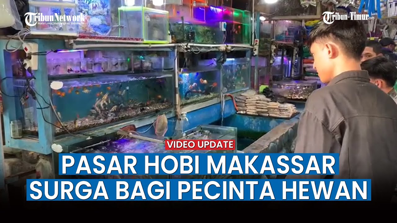 Berburu Hewan Peliharaan di Pasar Hobi Makassar