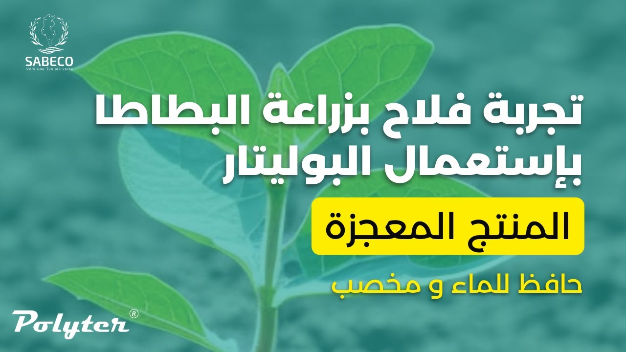 Polyter Tunisie - بوليتر: تجربة فلاح بزراعة البطاطا بإستعمال البوليتار