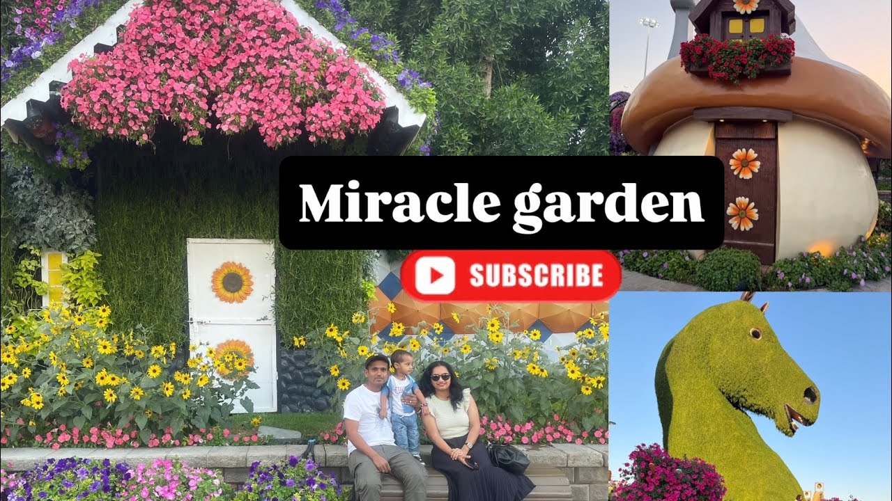 Miracle Garden Dubai 2026💐 world’s largest natural flower garden ( part 1 ) #dubai #flowers 