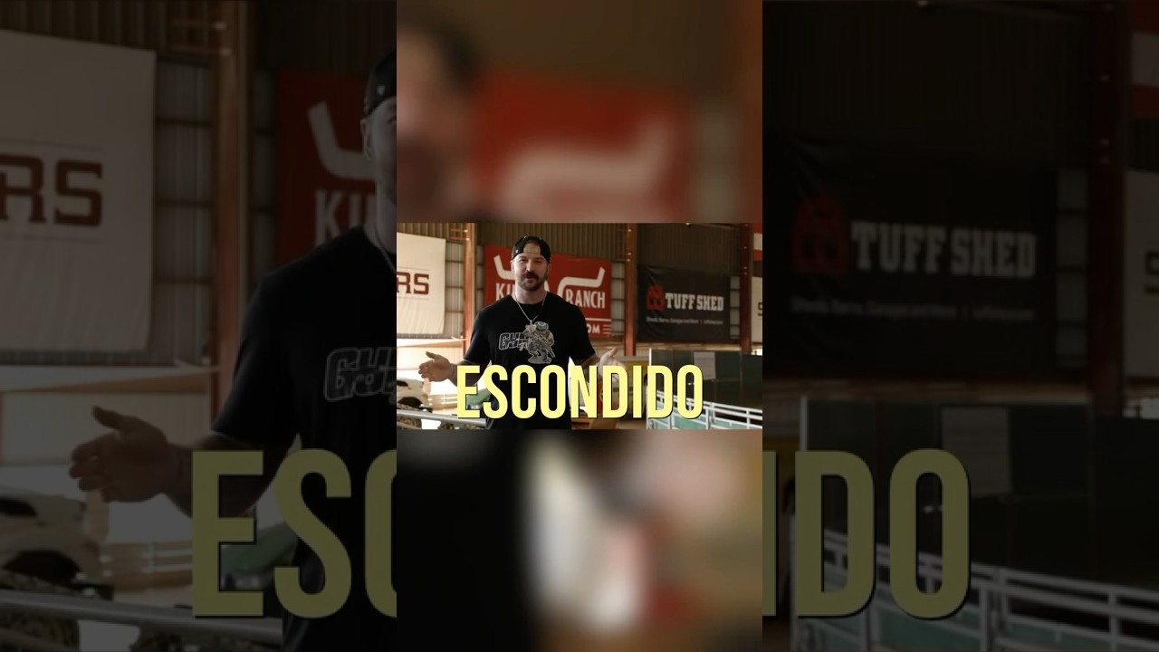 Escondido California Gun Show by GunTv 