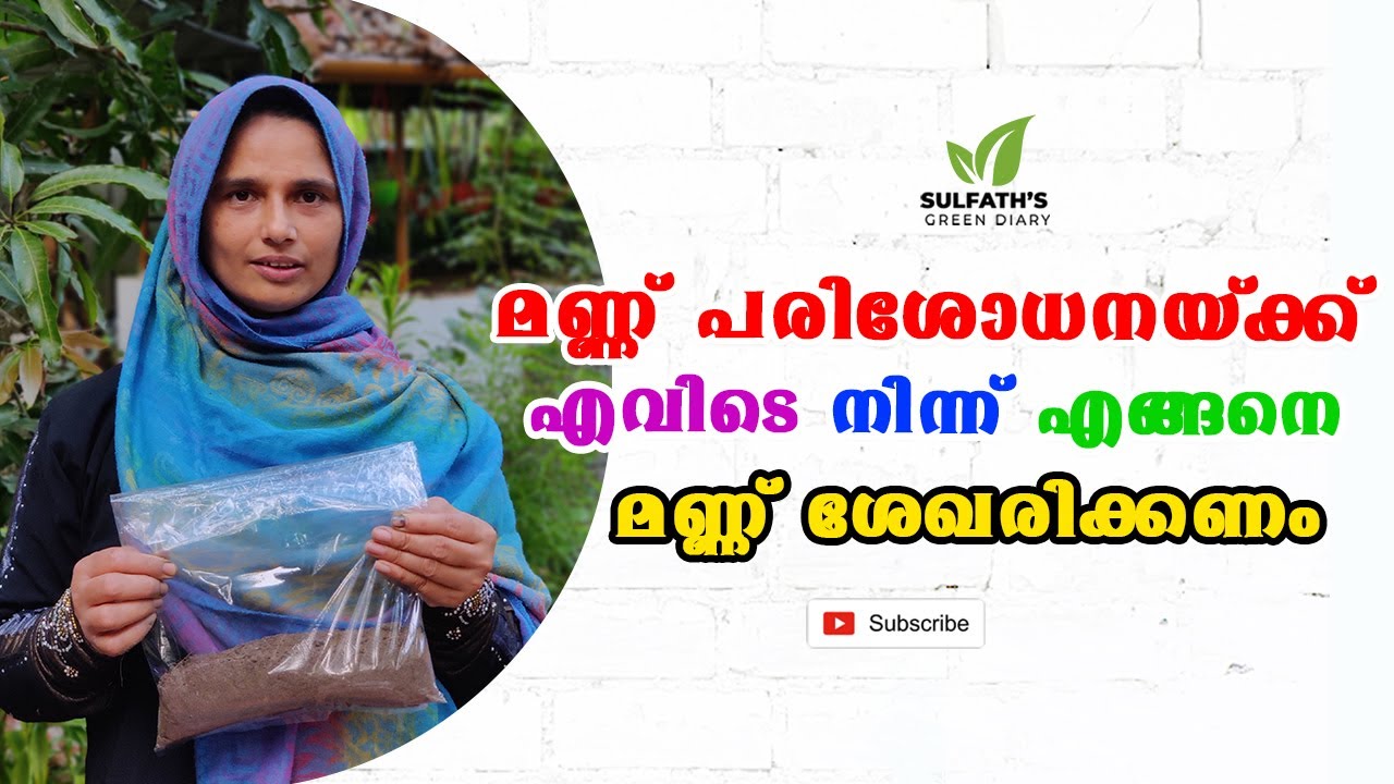 മണ്ണ് പരിശോധനയ്ക്ക് എവിടെ നിന്ന് എങ്ങനെ മണ്ണ് ശേഖരിക്കണം | Soil Testing for Agriculture in Malayalam