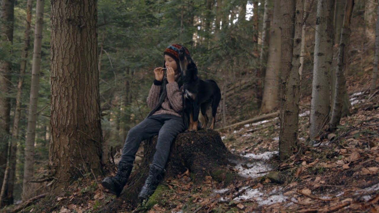 Disperse - Kites (official music video)
