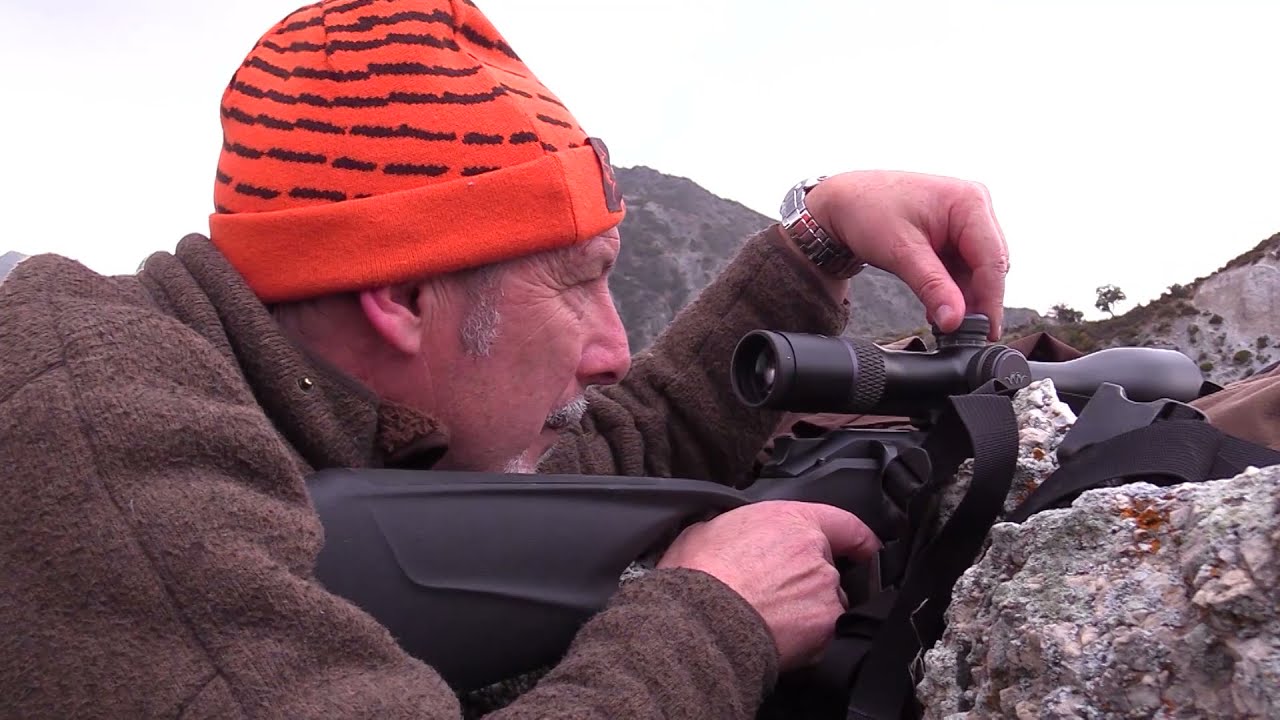 Tras un macho mont&eacute;s representativo de Sierra Nevada