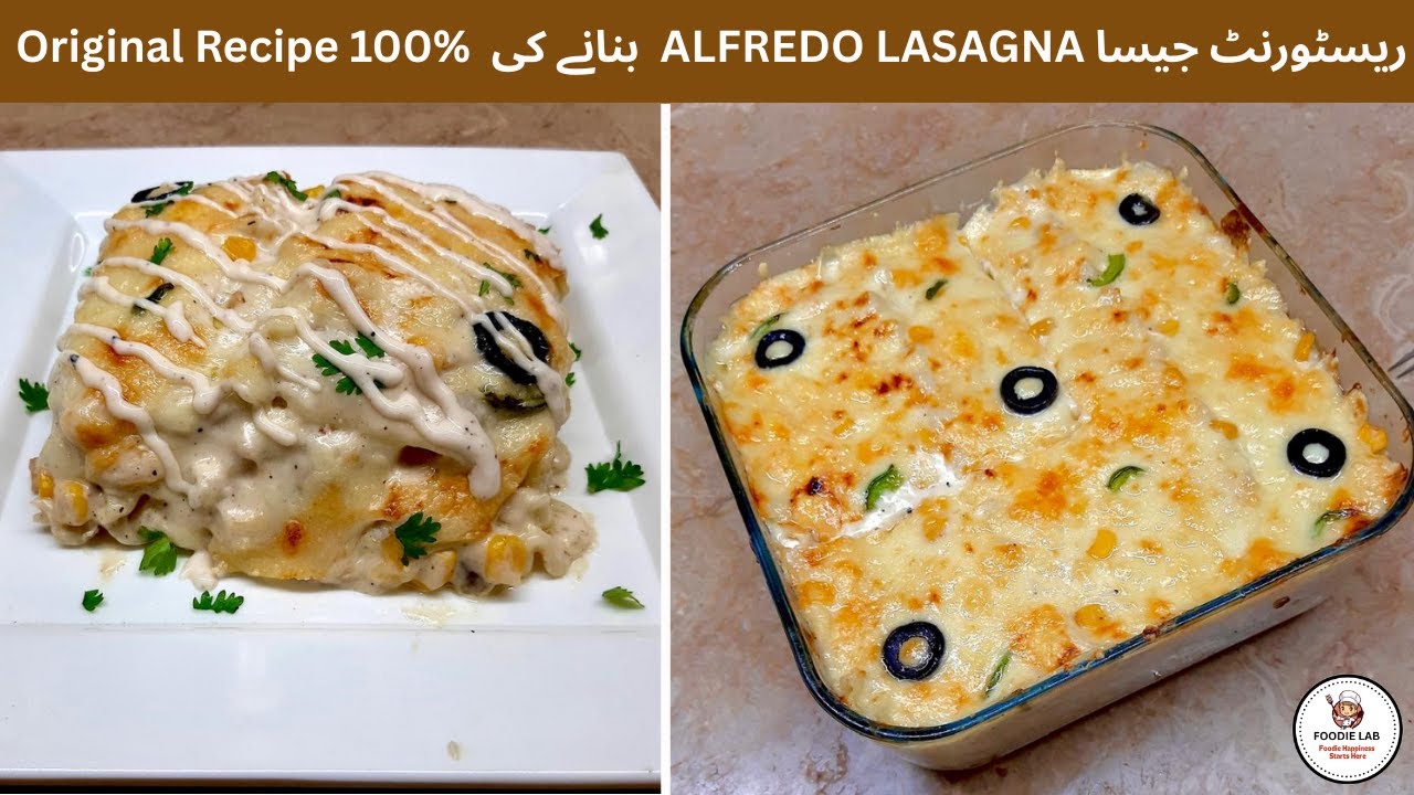 Creamiest Chicken Alfredo Lasagna Recipe || Lasagna With Special Alfredo Sauce || Creamy and Cheesy