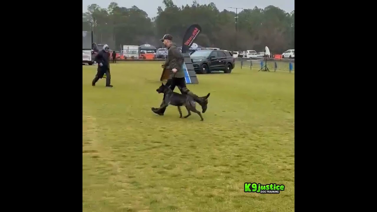 2025 Leashes and Beaches K9 Competition in Myrtle Beach #k9 #fun #dogs #fyp #subscribe