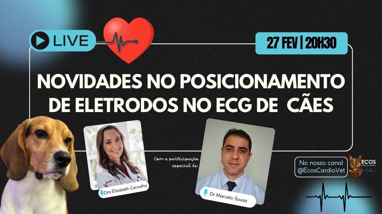 Live: Novidades no Posicionamento de Eletrodos no ECG de Cães