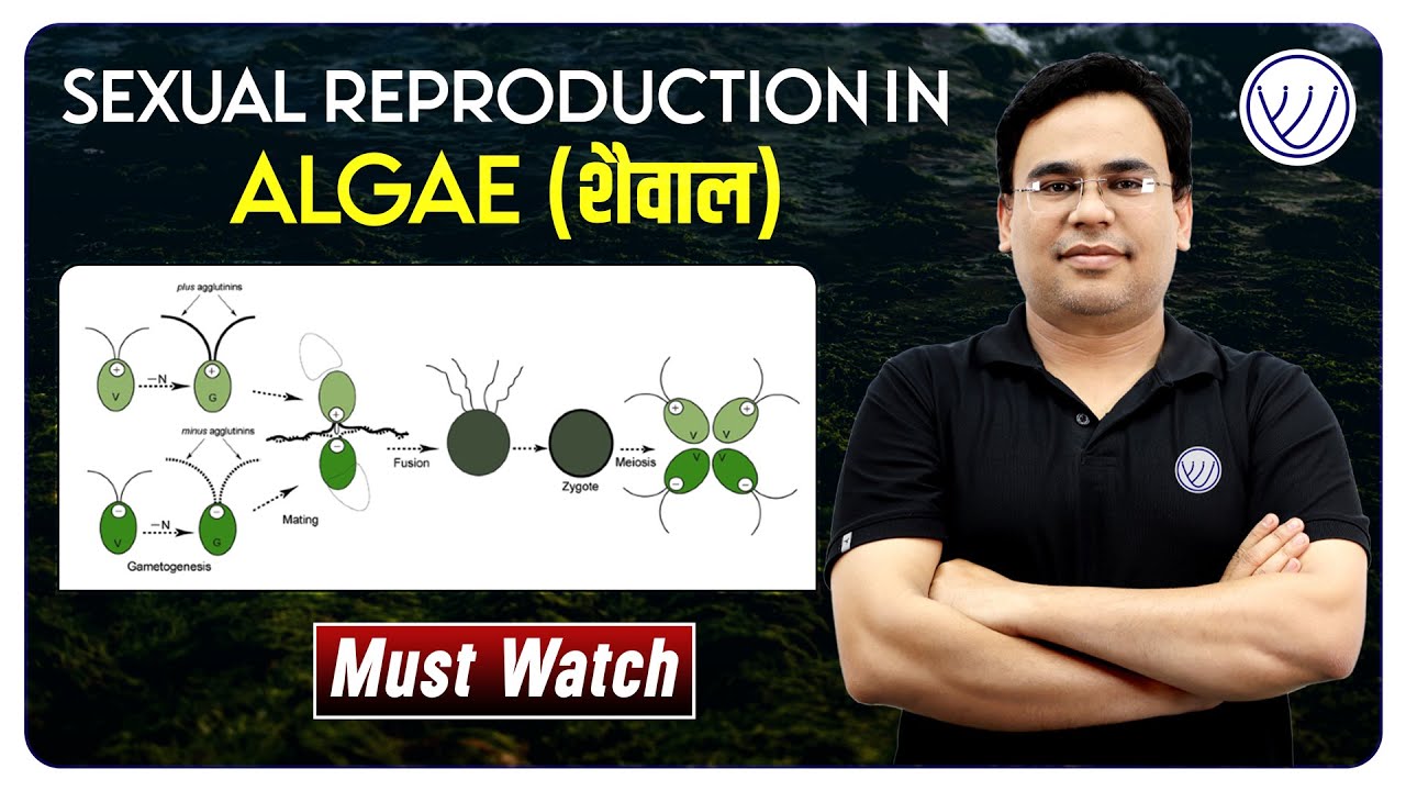 SEXUAL REPRODUCTION IN ALGAE | RPSC ASSISTANT PROFESSOR | NILESH SONI