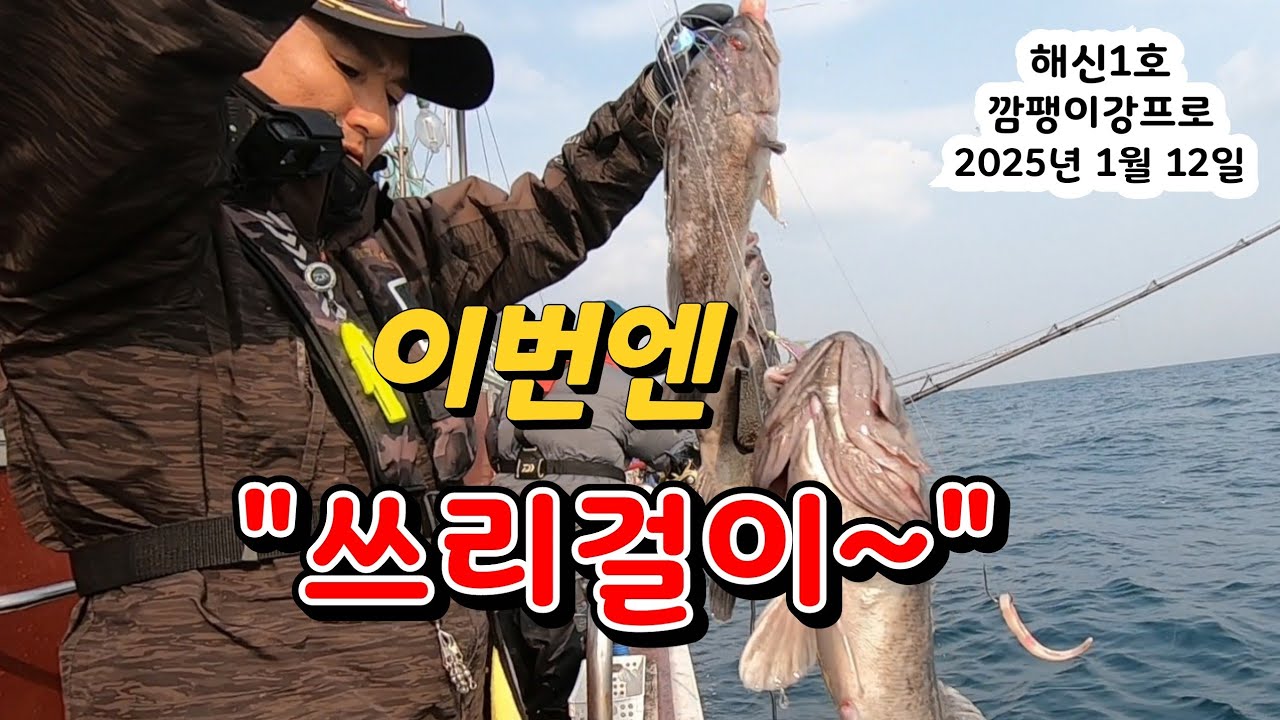 아직까진 활성도 괜찮습니다~ 이번엔 쌍걸이!! 쓰리걸이!!