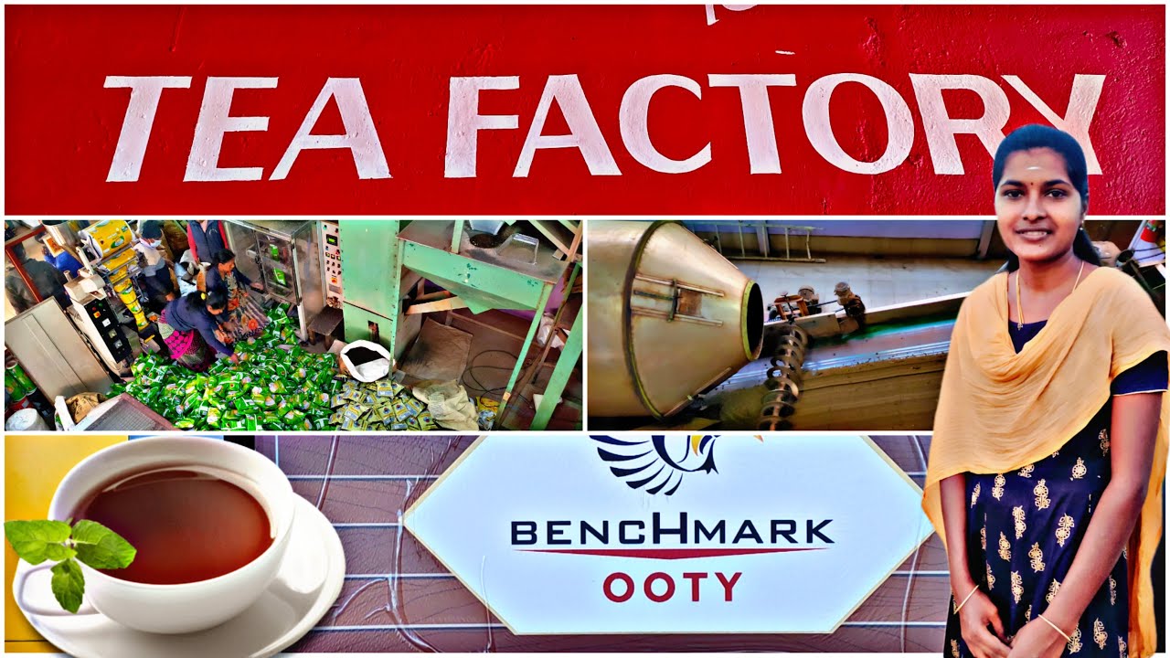 Ooty Tea Factory Vlog| Tea Manufacturing Process | Ooty Tea Museum | Ooty Tourist Places