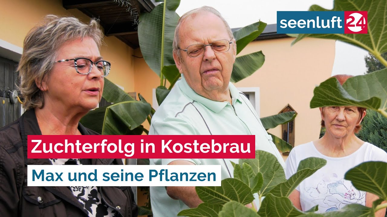 Zuchterfolg in Kostebrau - Max und seine Pflanzen