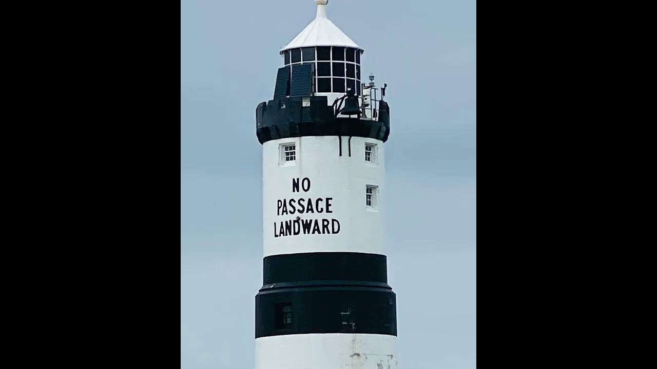 Seacoast Safaris - Puffin Island boat trip