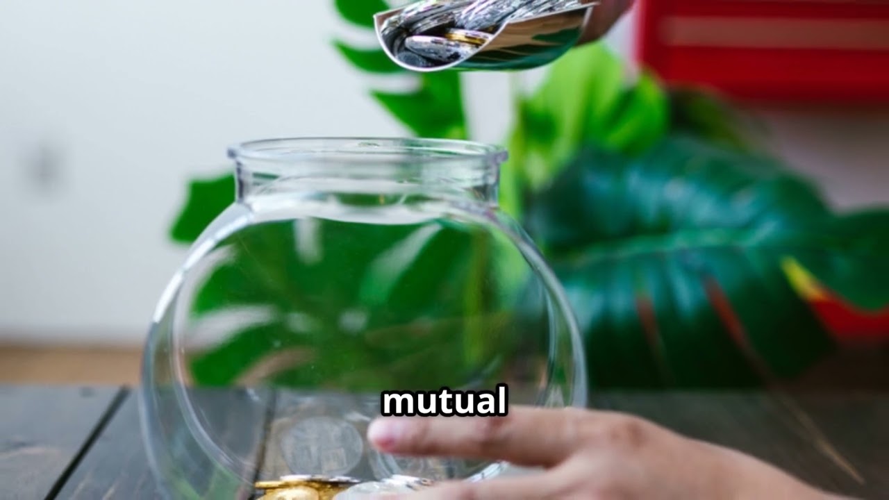 OWNERSHIP VS ACCESS (THE HIDDEN CODE OF THE WEALTHY)