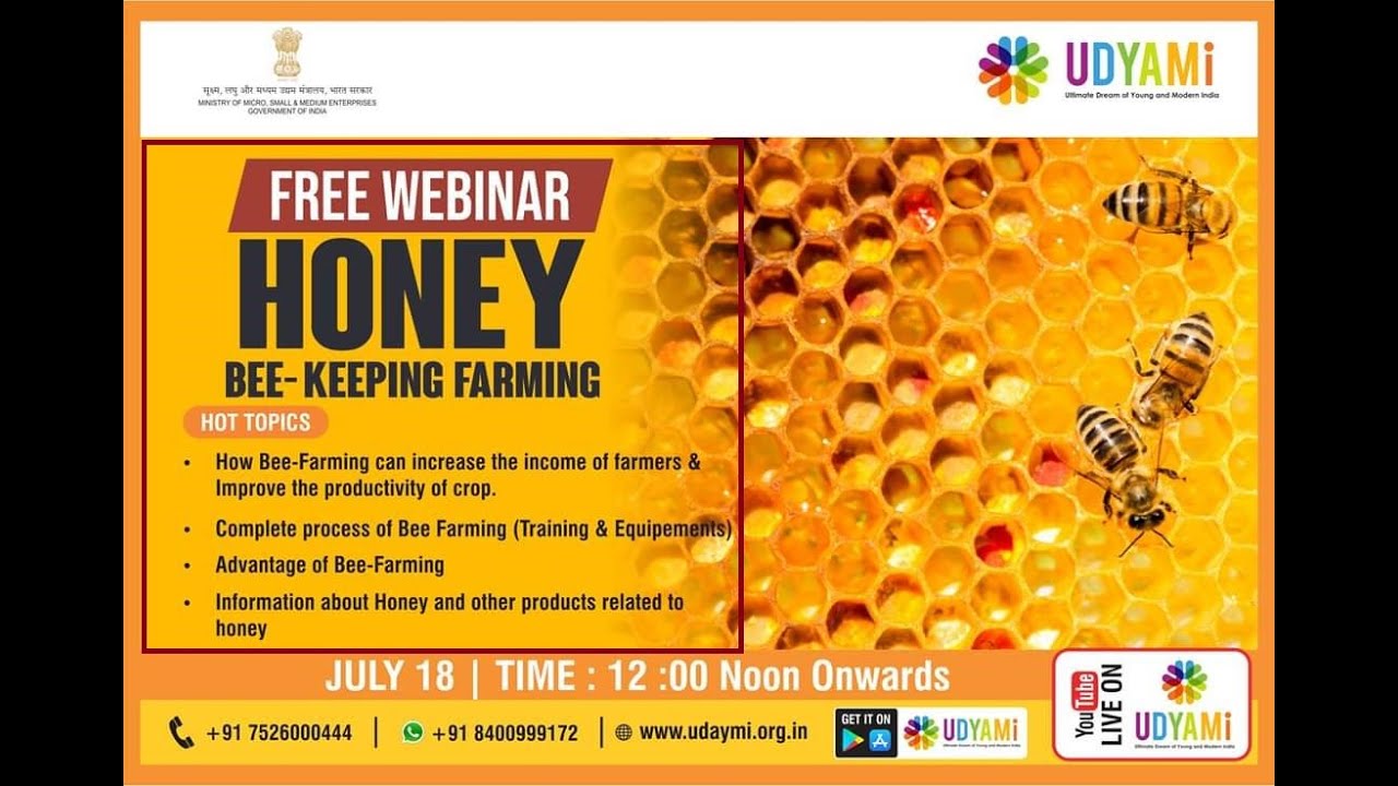 Beekeeping for Beginners | Free Webinar on the Fundamentals of Honey Bee Keeping | Honeybee Farming