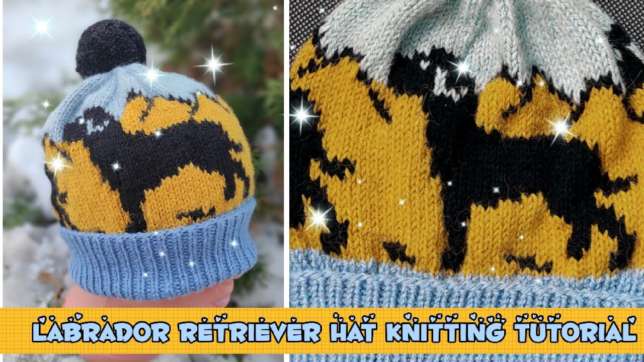 Labrador Retriever Dog HAT knitting tutorial, How to knit Fair Isle Hat with Dogs