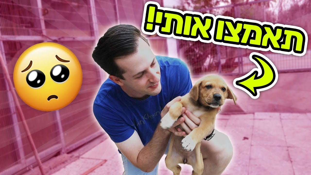 הם רק מחכים שתאמצו אותם