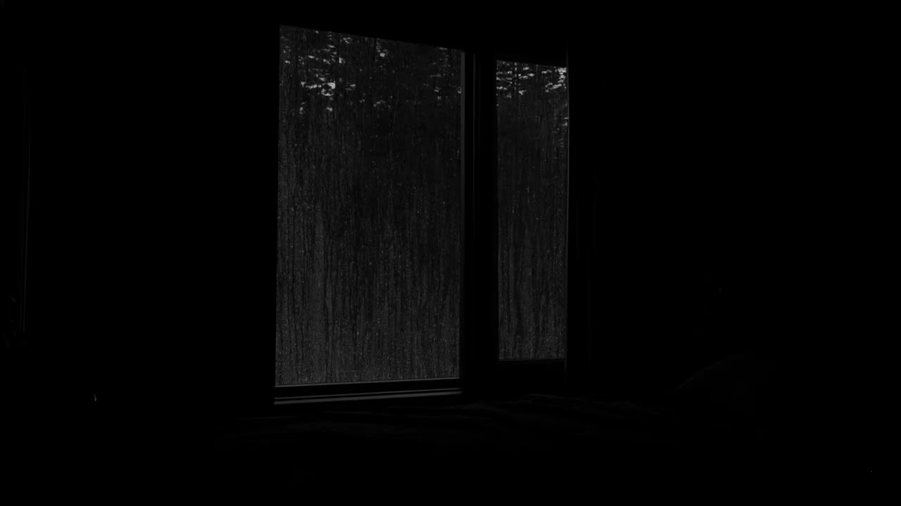 Cold Norwegian Forest Rain 🌧️ Quiet Cabin Ambience | No Ads