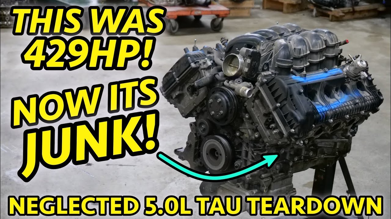 NEGLECTED HYUNDAI MUSCLE!? EQUUS 5.0L TAU V8 Destroyed by Extended Oil Change Intervals 