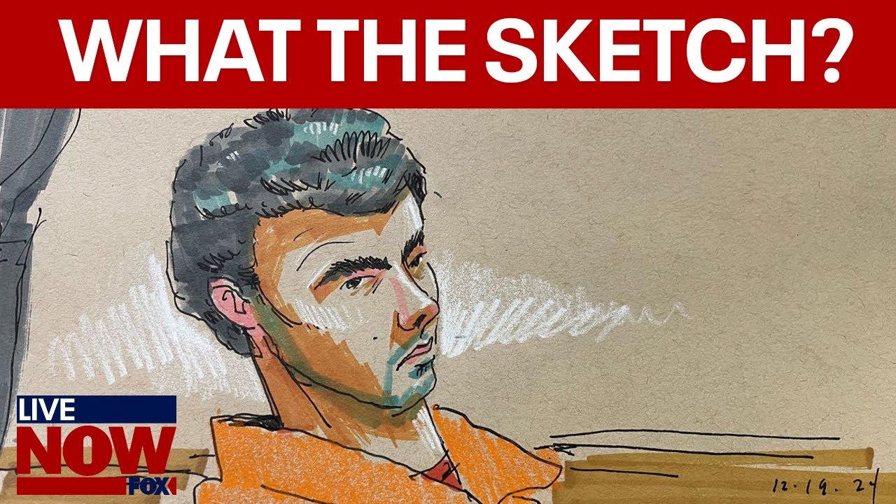 NEW DETAILS: Sketch artist recounts Luigi Mangione's court hearing | LiveNOW from FOX