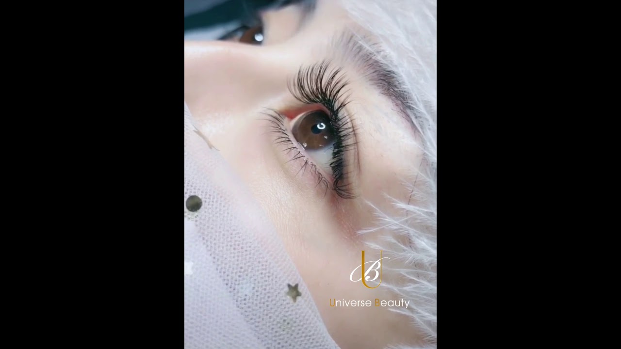 ✨Ellipse Flat lash extension tutorial for lash artists [UBL Lash Supplies]