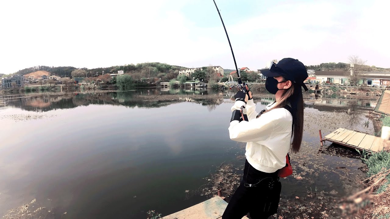 작년에 만난 가물치! 다시 도전? 가까운 수도권 저수지에서! 배스낚시 Bass fishing
