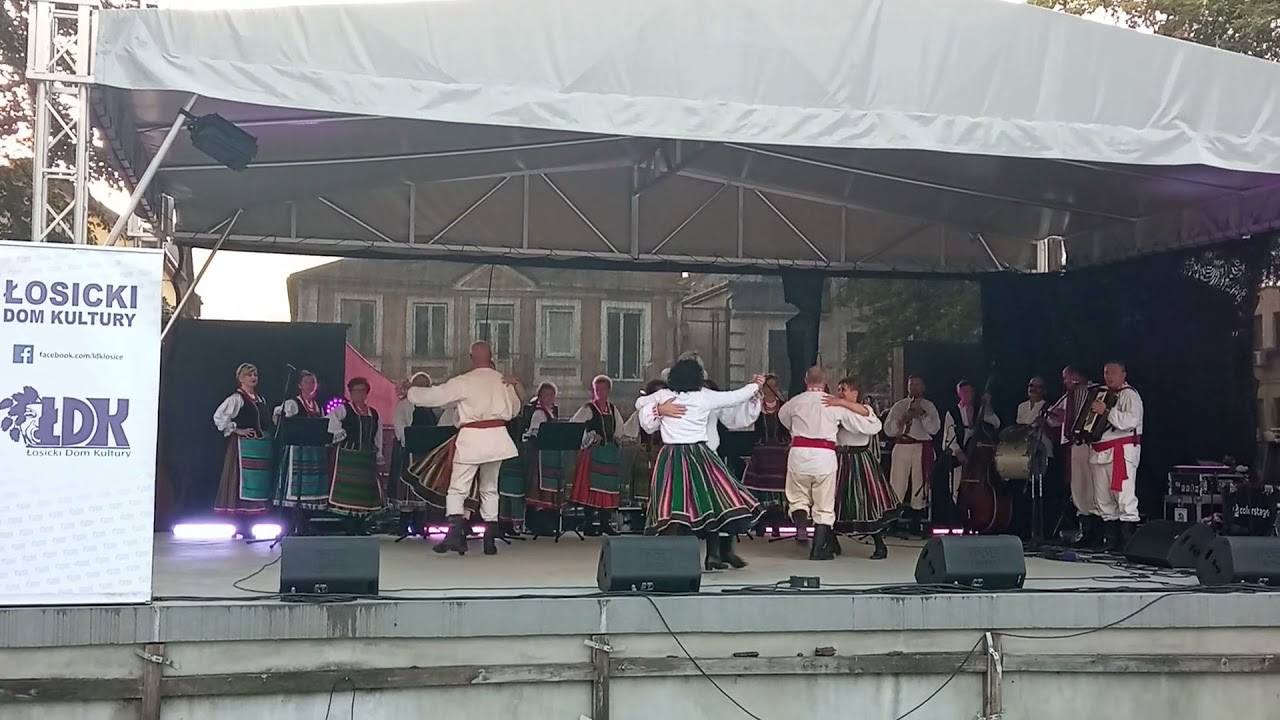 Dni Łosic