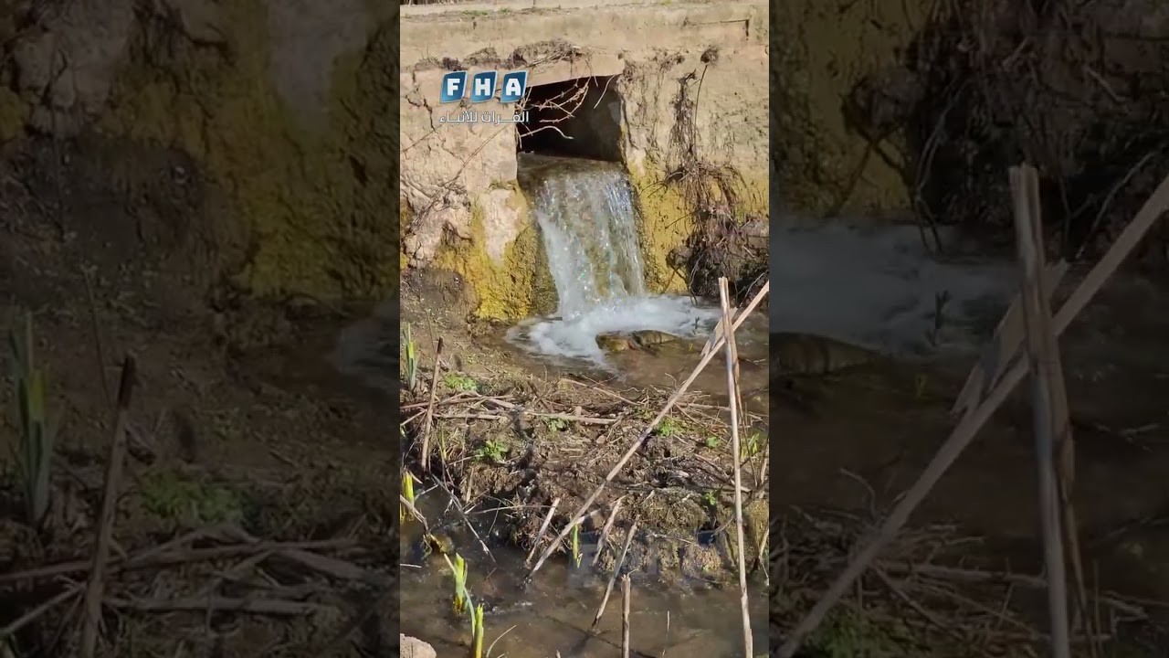 بعدسة وكالة الفرات.. جولة في مدينة القصير تبرز جمال الطبيعة بين الأشجار ونهر العاصي