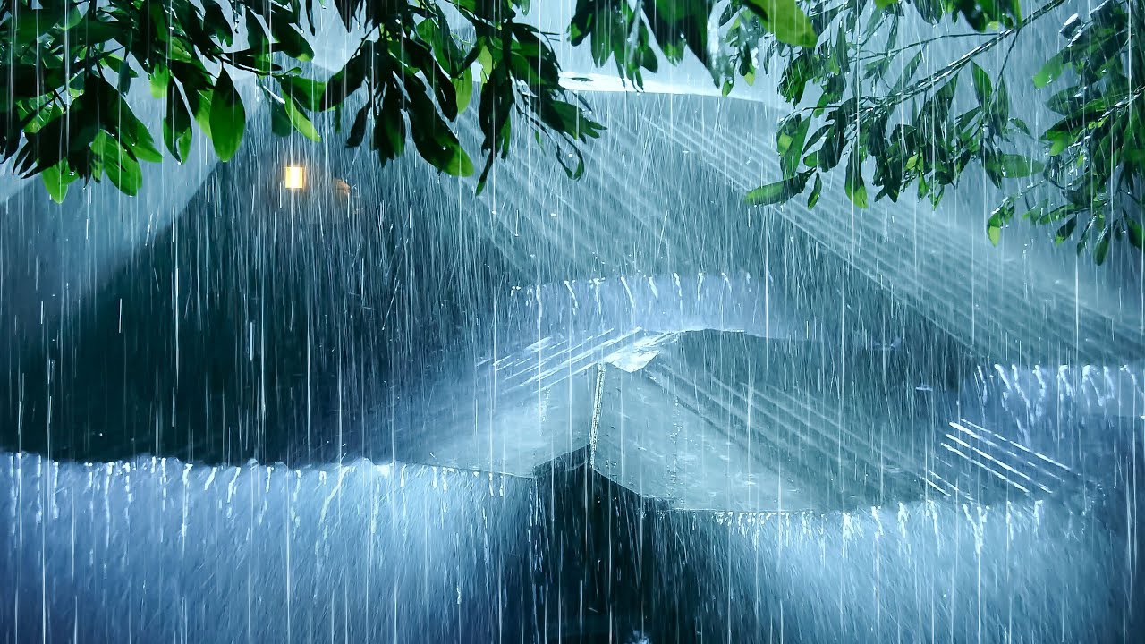 Instant Deep Sleep with Real Rainstorm at Night | Heavy Rain & Rumbling Thunder in the Forest