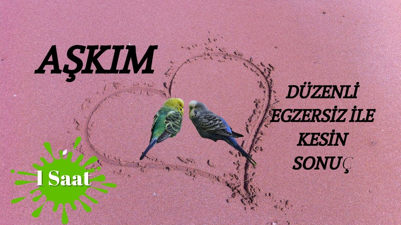 AŞKIM | Muhabbet Kuşu Konuşturma | 1 Saat
