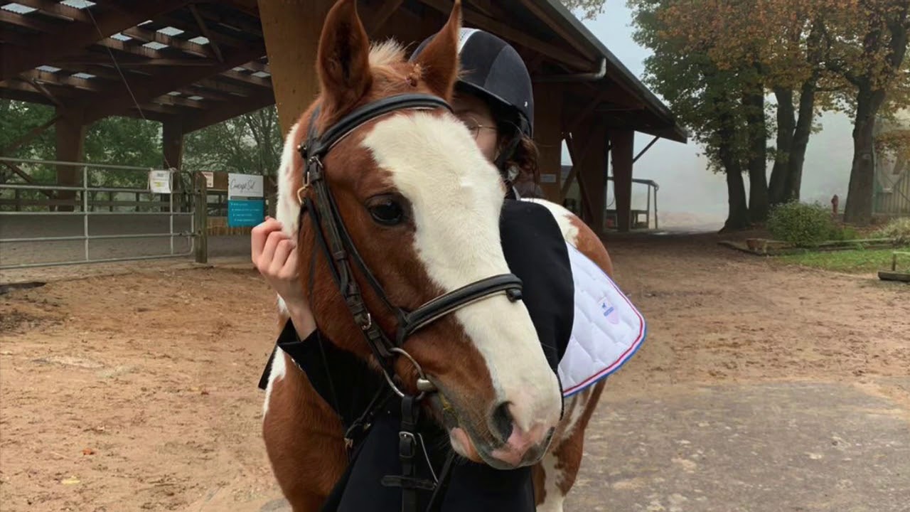 Dressage club 4, notre premier dressage avec apache