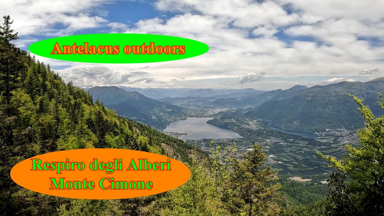 Respiro degli Alberi e Monte Cimone - Da Lavarone (TN), eccezionale giro fra natura, arte e storia