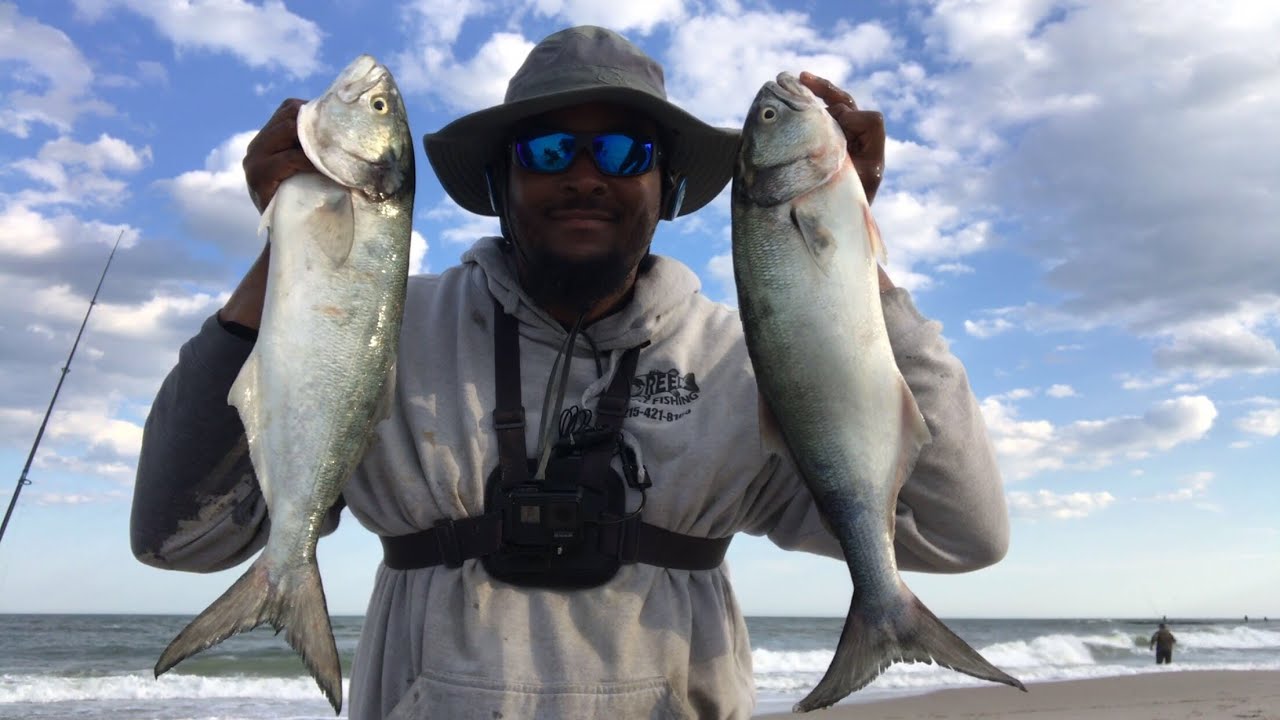 Bluefish Slaughter at the T Jetty in Atlantic City, NJ