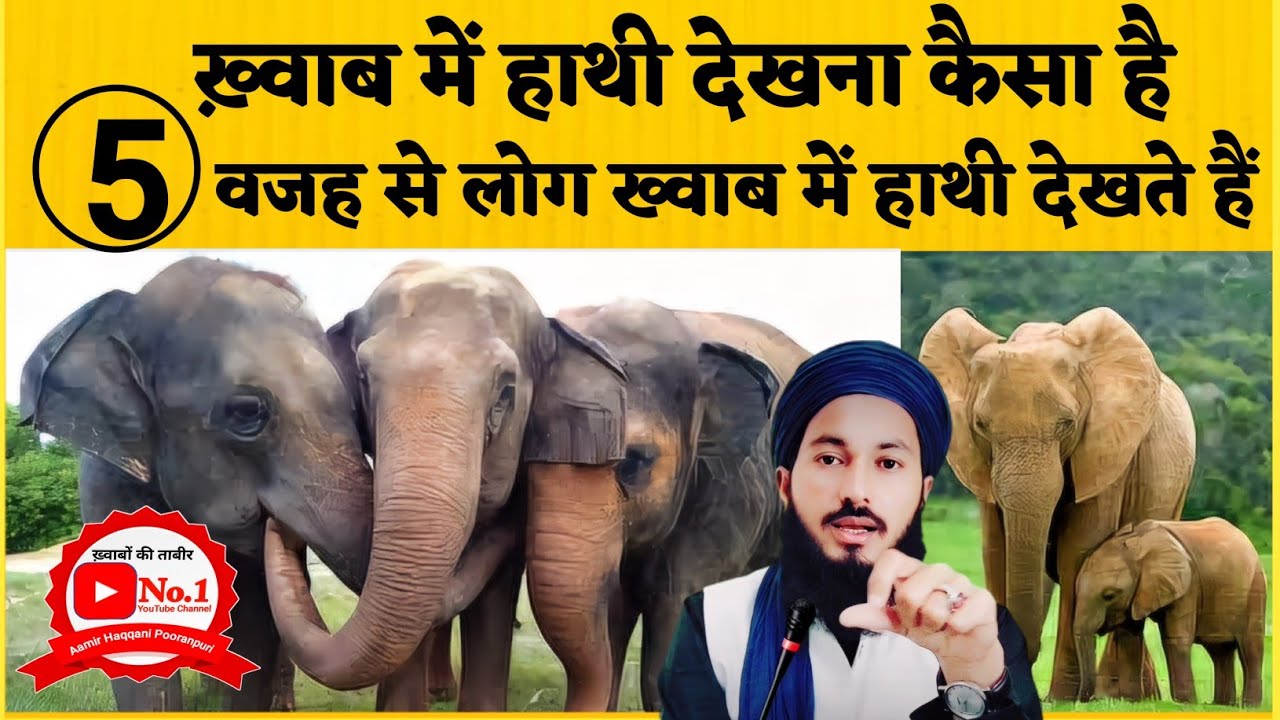ख्वाब में हाथी को देखना कैसा है|Khwab Me Hathi Dekhna Kaisa Hai|Khwabon Ki Tabir|Mufti Amir Haqqani
