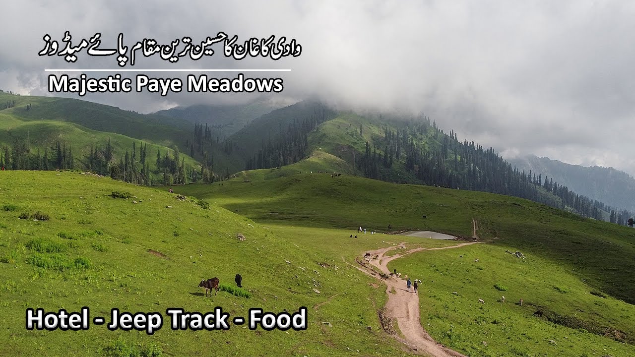 Shogran Valley | Siri Paye Meadows | Naran Kaghan