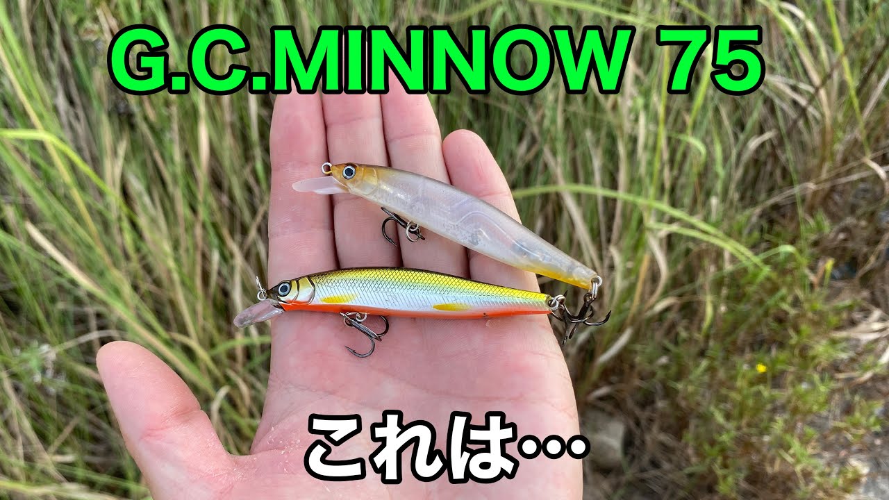 めっちゃ釣れるミノーに新サイズが出たみたいなんで使ってみたら…
