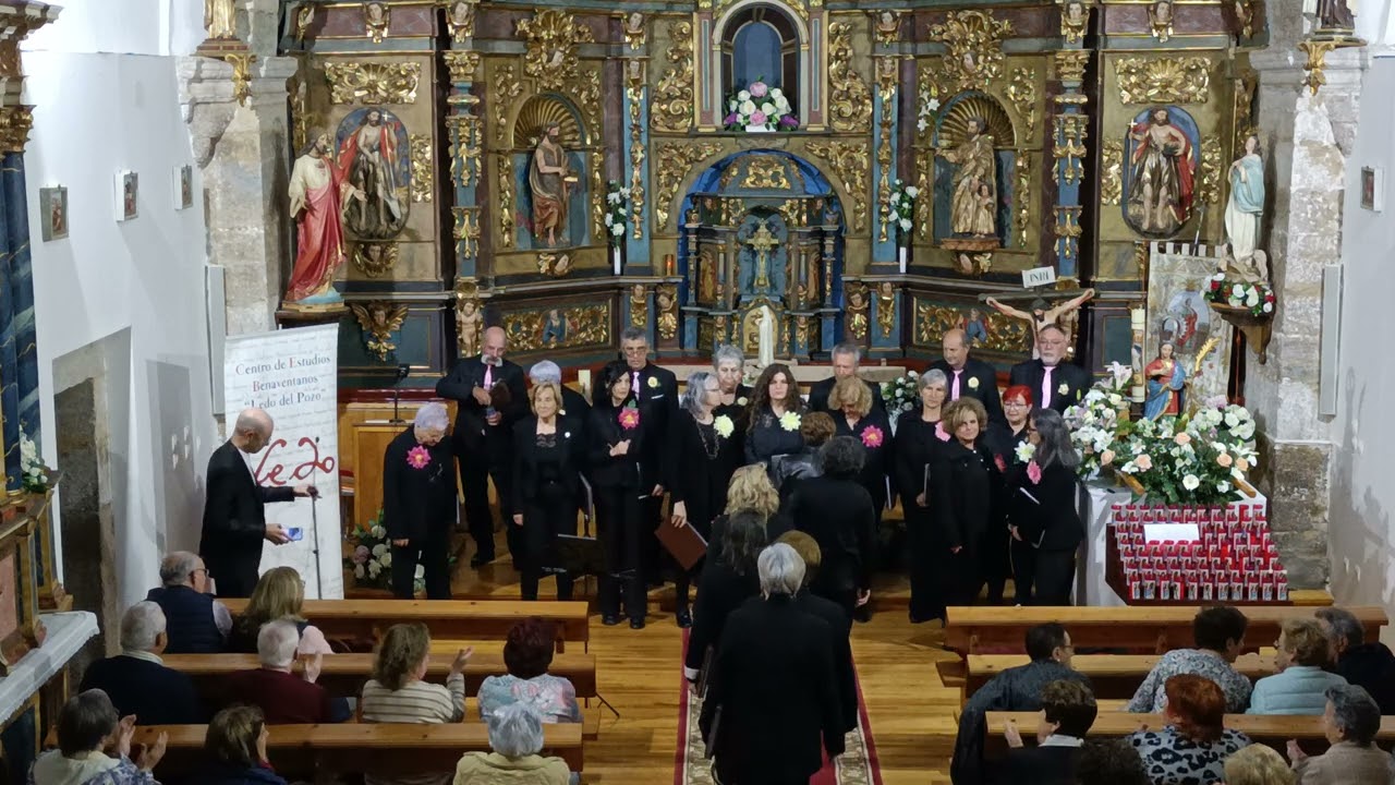 HoraZioZamora.- Concierto 