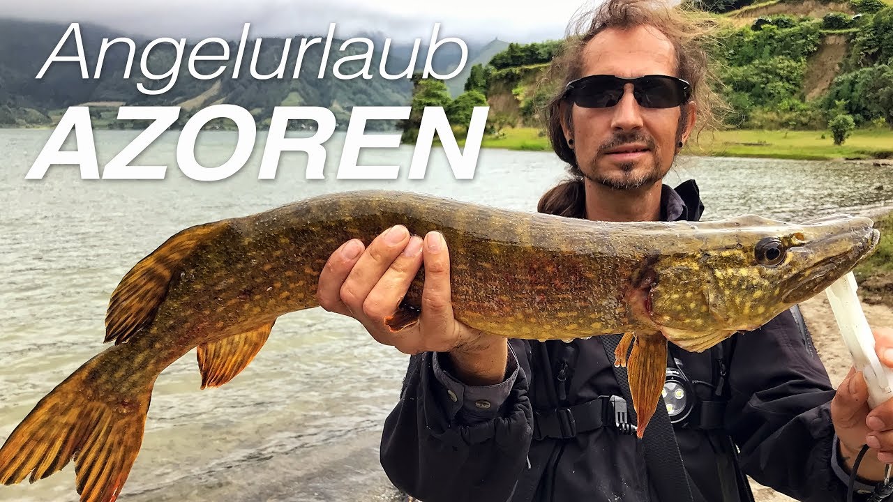 AZOREN - São Miquel - Angelurlaub auf Barracuda, Hecht und Bluefish