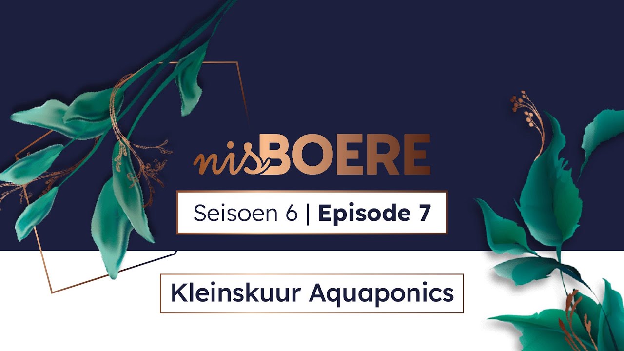 nisBOERE 6 | Episode 7 | Kleinskuur Aquaponics