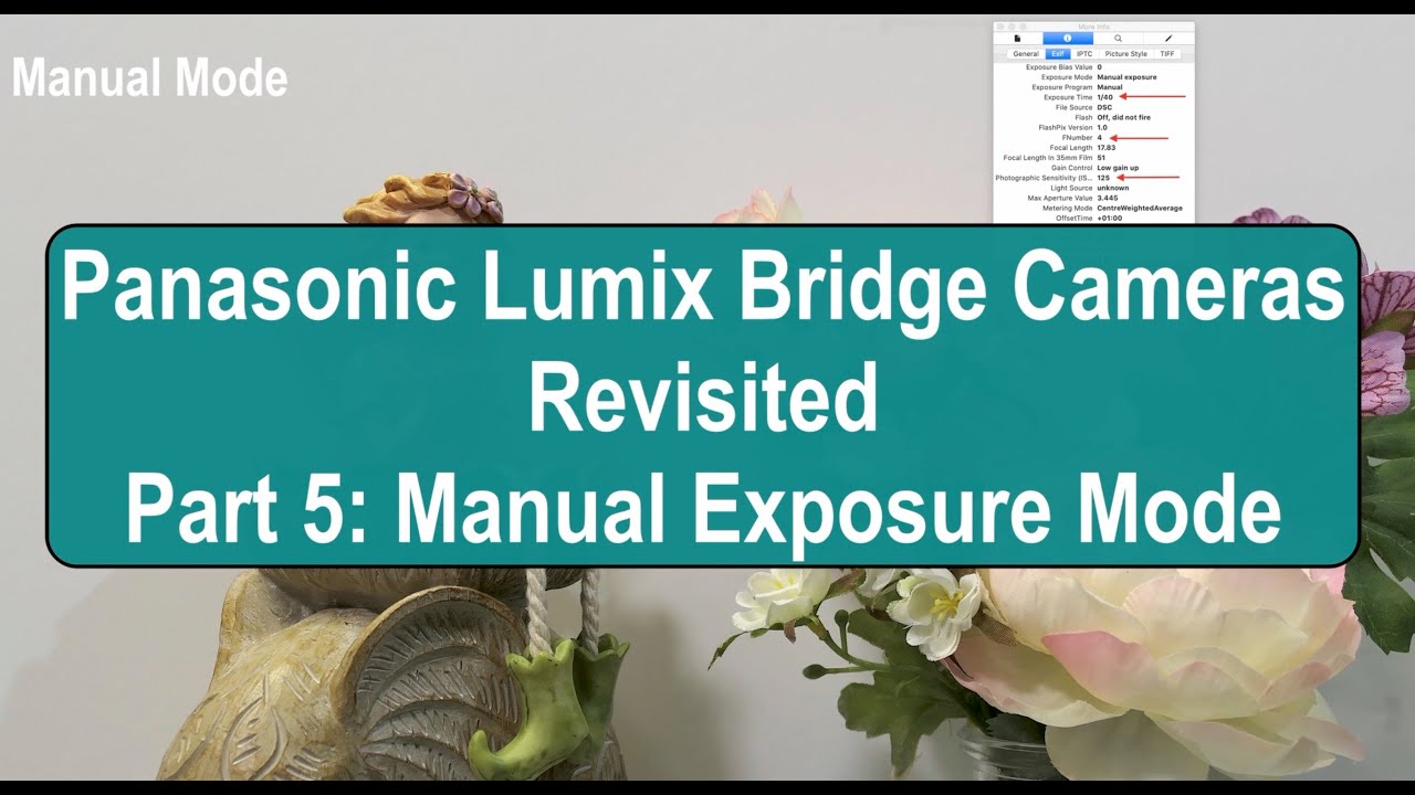 Panasonic Lumix Bridge Cameras Revisted: Part 5 - Manual Exposure Mode
