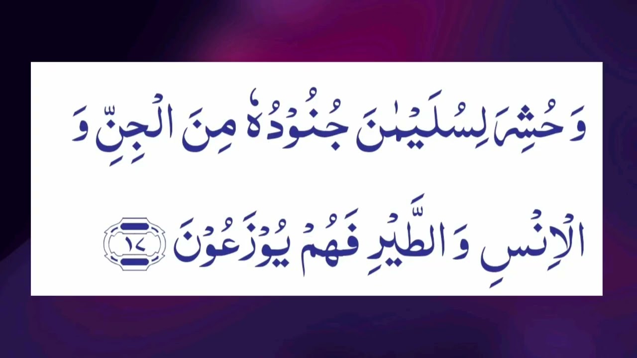 Annaml-27, Aayaat 17-19. Jab Hazrat Sulaiman(AS) aur aapka lashkar Chintiyon(ants) ke area se guzra.