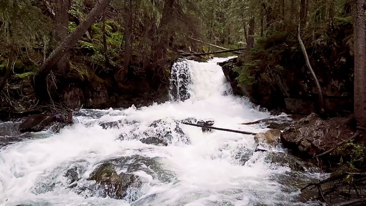 Mountain stream after rain.