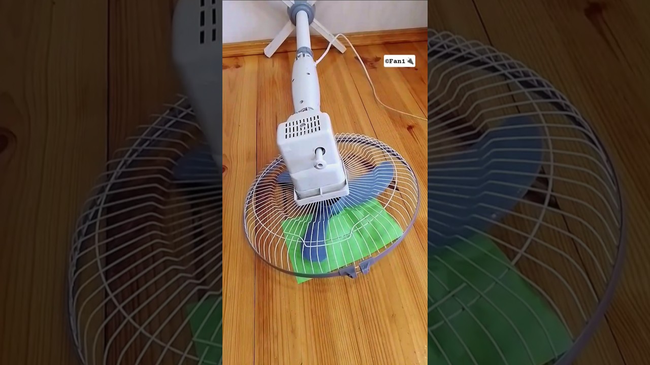 Fans Are Destroyed 4 