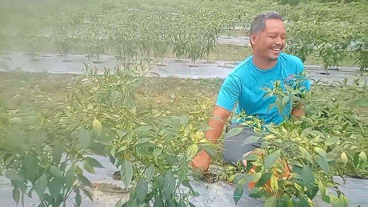 Alhamdulillah , rejeki di Jumat yang penuh berkah ‼️