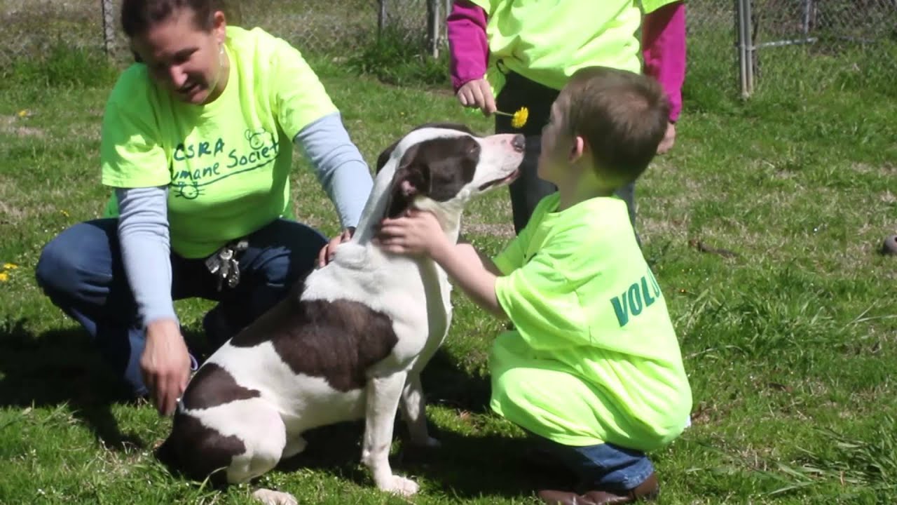 CSRA Humane Society Commercial